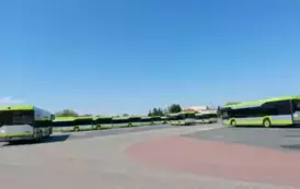 487696166_1245458030913975_2596904702257181419_n