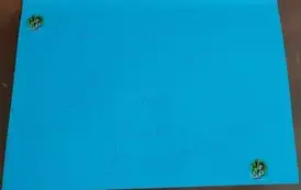 481083483_1220014033458375_2655495033158854208_n